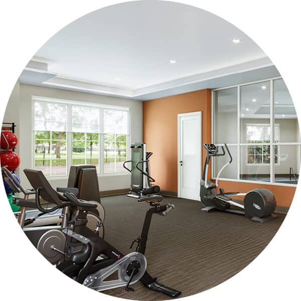 3D digital rendering of the carpeted fitness room with various exercise equipment, view of trees out the window at left, rust colored accent wall at back, and view of pool through window at right.