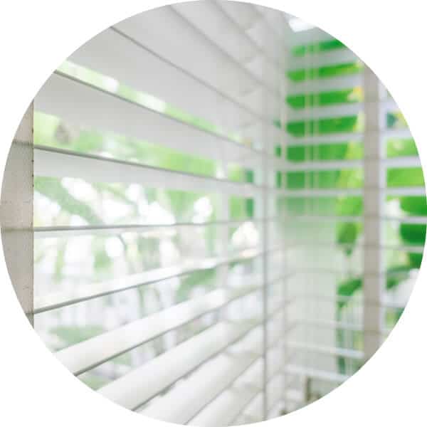 Close up view of window with white blinds and view of green plants outside.