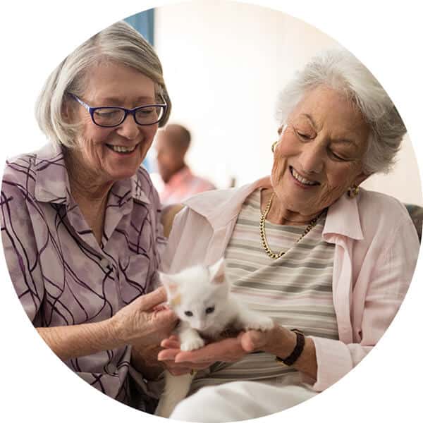 Two senior women smiling on sofa and holding a white kitten.
